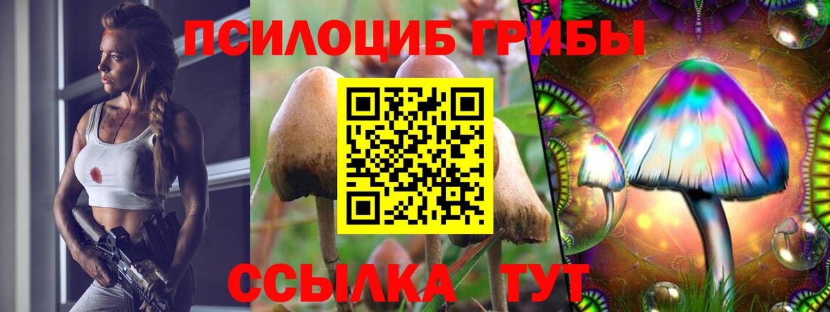 Псилоцибиновые грибы Magic Shrooms  закладка  Вход с VPN  Самара  Псилоцибиновые грибы MAGIC MUSHROOMS 
